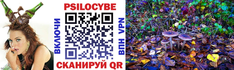 Купить где Урень Галлюциногенные грибы Magic Shrooms